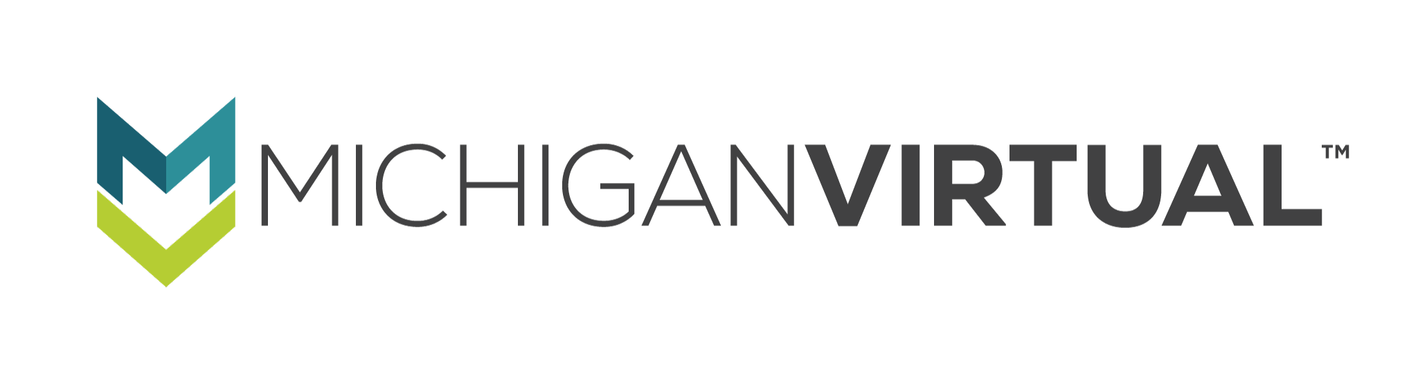 Michigan Virtual Logo (Horizontal)